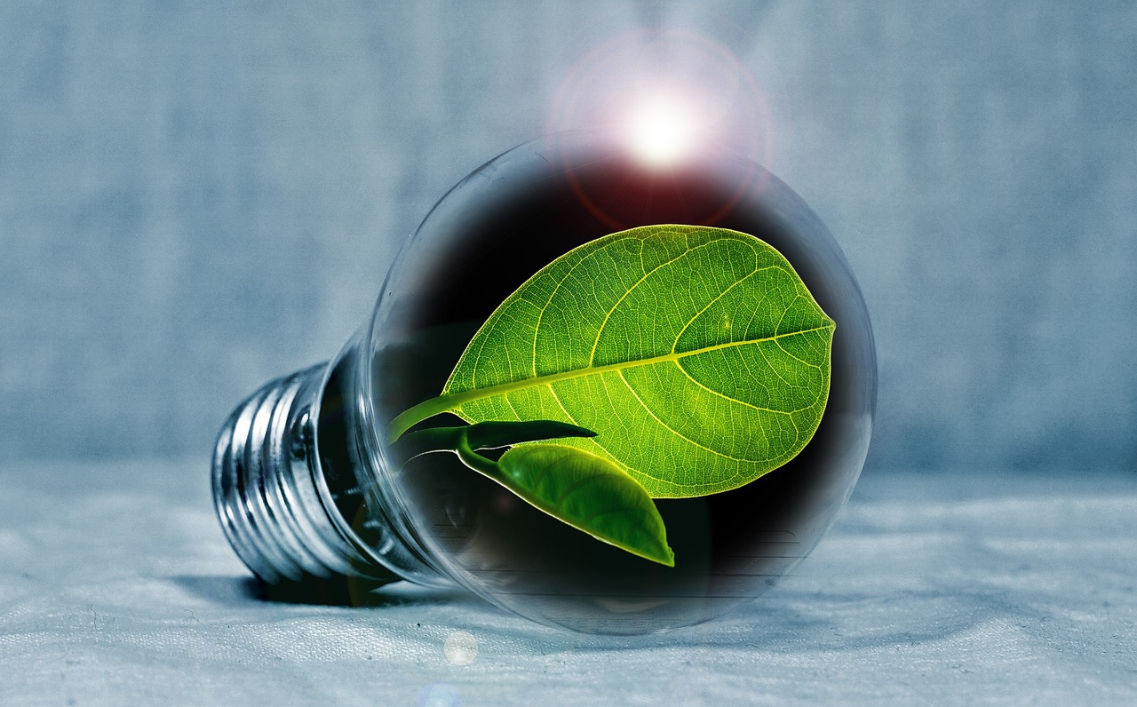 Une ampoule qui contient une feuille à l'intérieur pour souligner les enjeux de la transition écologique.